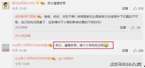 娱乐吃瓜评论,吃瓜群众热议幕后故事